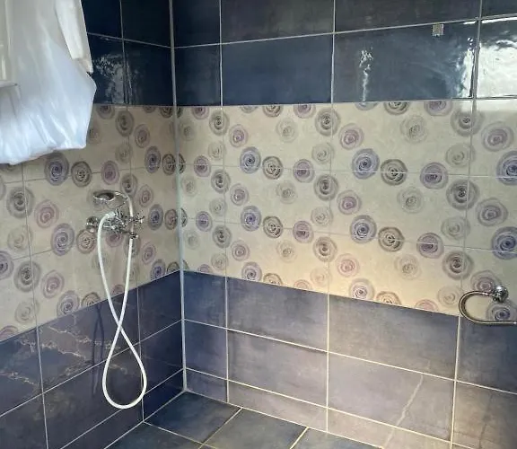 Horizonti Miroc * Donji Milanovac